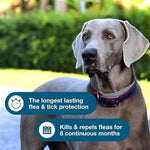 Seresto® Flea & Tick Collar for Large Dogs